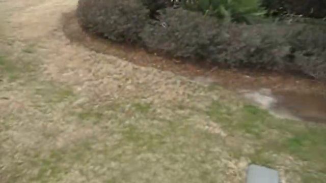 Project Rescue Herbie:Florida State Line смотреть онлайн