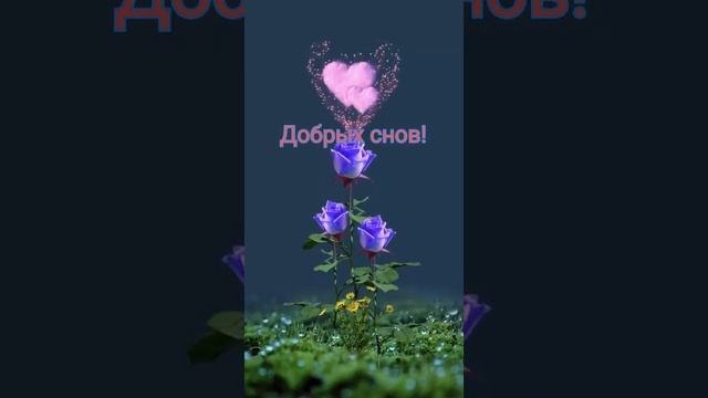 Доброй Мирной Ночи Дорогая Люба!??? смотреть онлайн