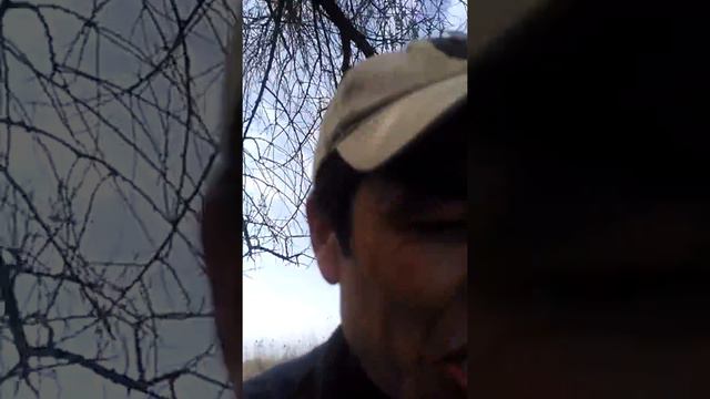 15 апреля 2018 г. смотреть онлайн