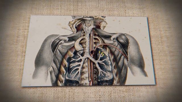 Интуиция и магия