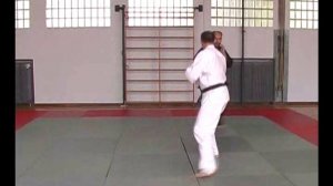 JU JUTSU COMPACT 3