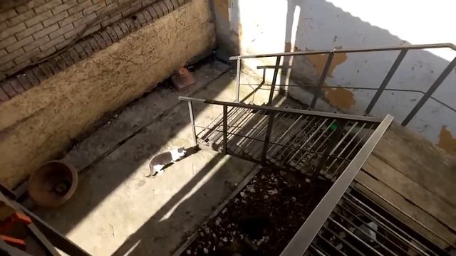 Кидаем нерабочие телефоны с балкона особняка 2019 Конец телефонам смотреть онлайн