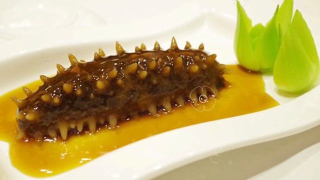 ТРЕПАНГ ПОЛЬЗА | трепанг польза и вред, польза трепанга на меду, трепанг чем полезен?