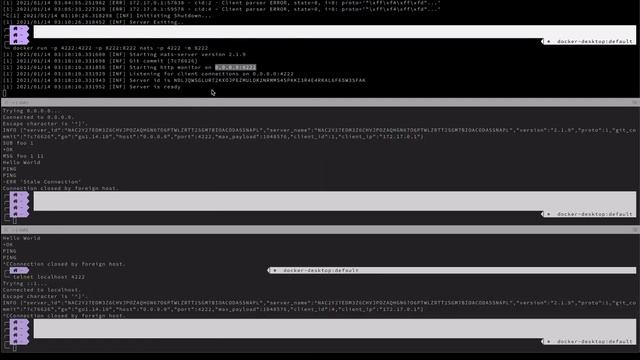 NATS Demo смотреть онлайн