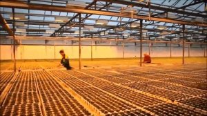 Производство торфа. Применение торфа. Как получают торф?