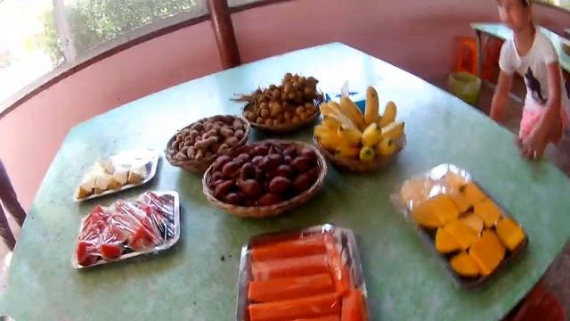 Слоники, крокодилы, фруктовый сад, Тайланд, экскурсия Семейный тур смотреть онлайн