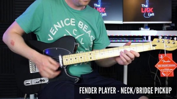 Fender Player vs Fender Standard Telecaster