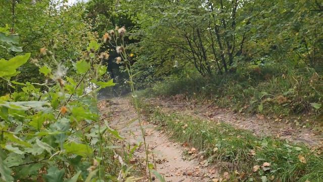 Baltmotors Jam 100 аналог Stels Atv 100 Потянет 70 кило?