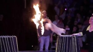 цирк шапито  Арлекин «БЕЛАРУСЬ»