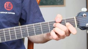 Бабья доля, А.Я. Розенбаум(видео-разбор)