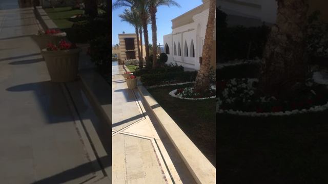 Обзор отеля Club reef в Шарм-эль-Шейх, отзыв о Join up !!! смотреть онлайн