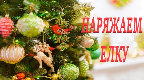 БЕЛЛА НАРЯЖАЕТ ЕЛКУ..mp4