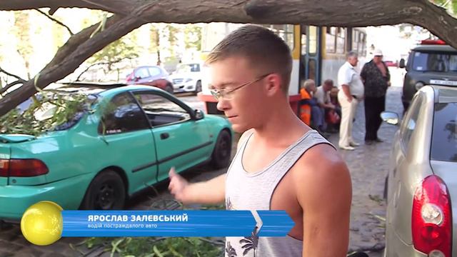 На Нежинской упало дерево смотреть онлайн
