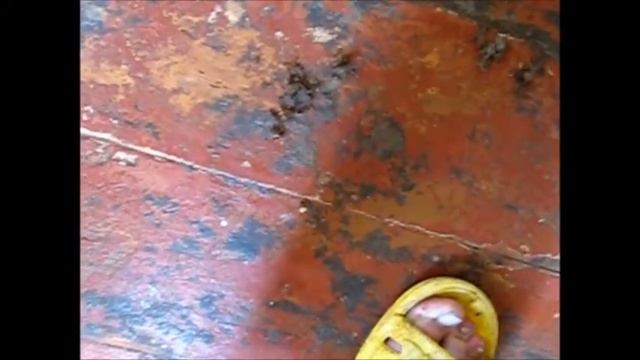 Очищаем деревянный пол от застарелой грязи смотреть онлайн