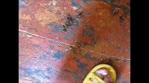 Очищаем деревянный пол от застарелой грязи