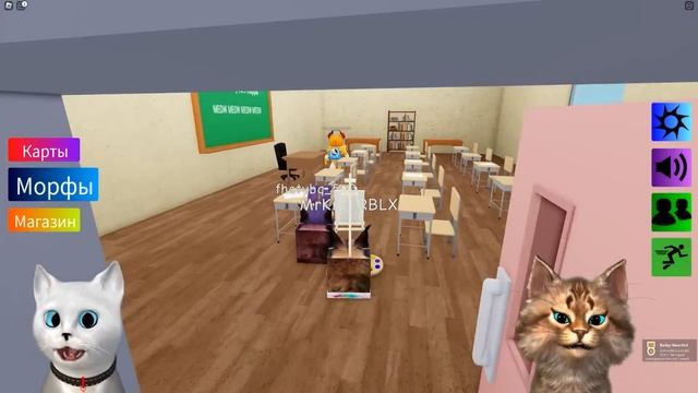 НАШЛИ НОВЫХ ШКОЛЬНЫХ ШЛЁП В РОБЛОКС ! Find The Floppa Morphs Roblox Кронос и Весёлый Кот смотреть онлайн