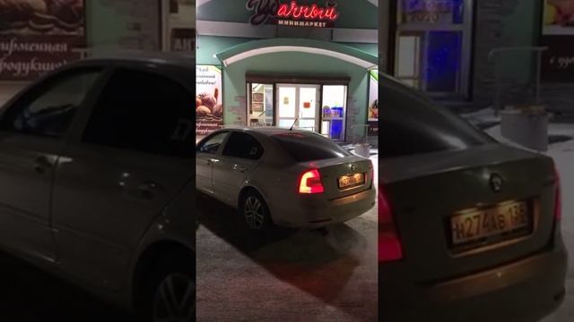 Прямоток на октавии а5 смотреть онлайн