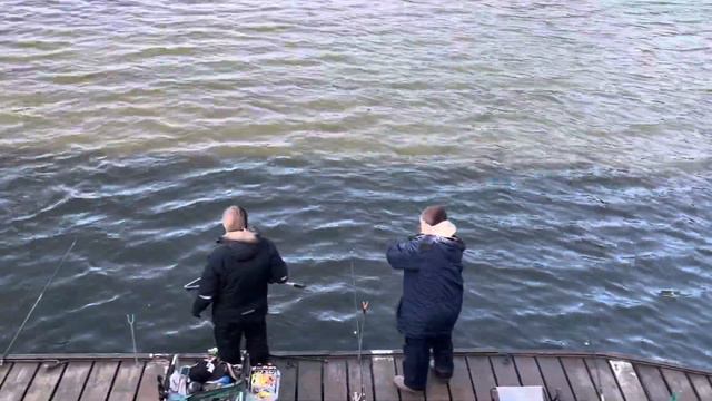 Сергей Кадр в деле смотреть онлайн