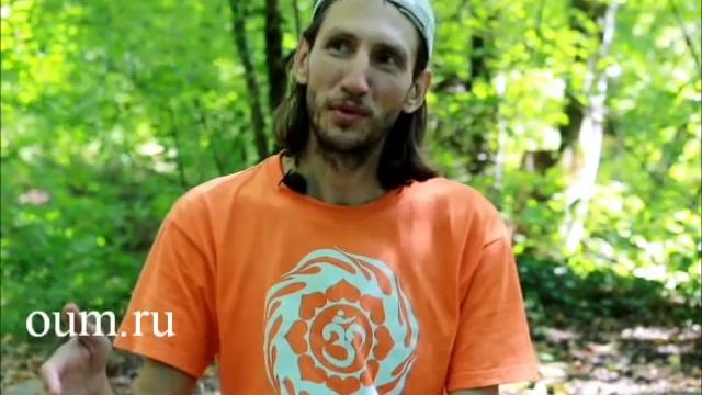 Как выбрать НАПРАВЛЕНИЕ ЙОГИ и УЧИТЕЛЯ? Андрей Верба. смотреть онлайн