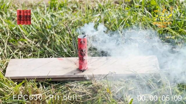 FPC630 Pit bull смотреть онлайн