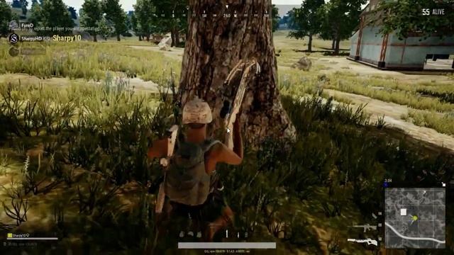 nelielai jautribai pubg смотреть онлайн