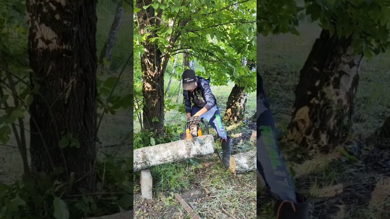 Ветер свалил берёзу. #fishing #viral #carpfishing #top #рыбаки #рыбалка #карп #рыба #егоргришин смотреть онлайн