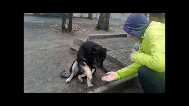 Бурпи День 19 смотреть онлайн