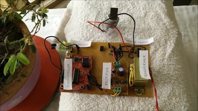 TIIC IDC 2015-TEAM 2714-"BIOSENSOR USING MIMOSA смотреть онлайн
