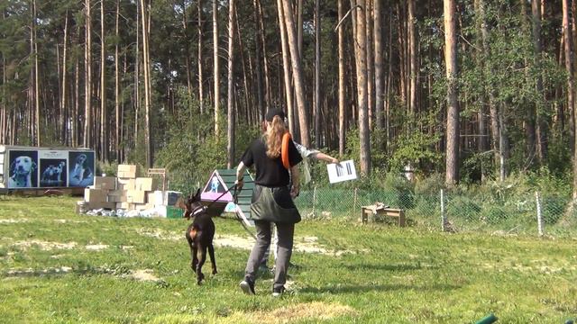 9 - Askania Avgusto - 91 points смотреть онлайн