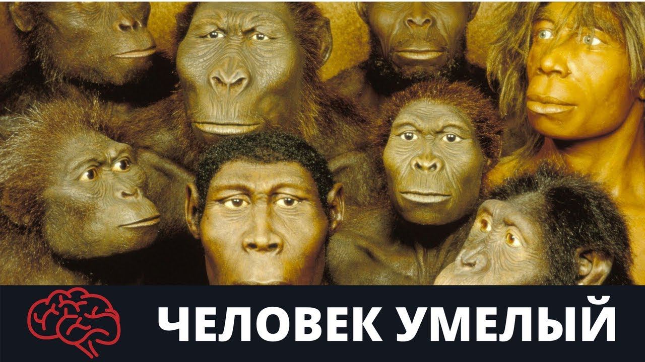 Человек умелый смотреть онлайн