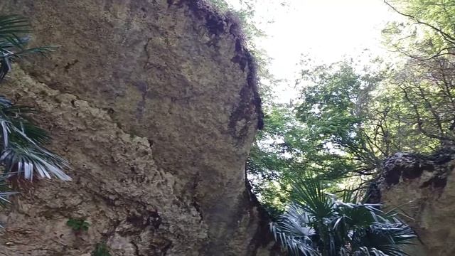 Экскурсия в Черниговку и ресторан Ассир в Абхазии (видео без слов) смотреть онлайн