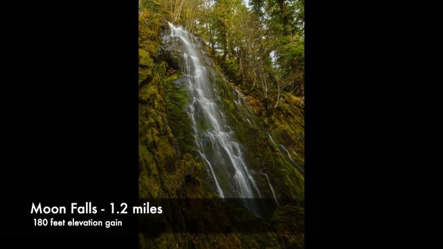 20 Incredible Oregon Waterfall Hikes смотреть онлайн