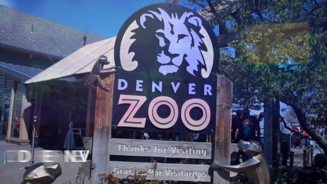 10 BEST Things To Do In Denver | What To Do In Denver смотреть онлайн