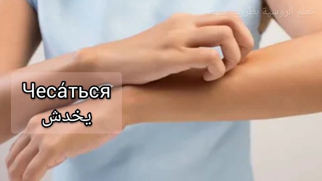 أفعال لا بد معرفتها باللغة الروسية 🇷🇺 смотреть онлайн