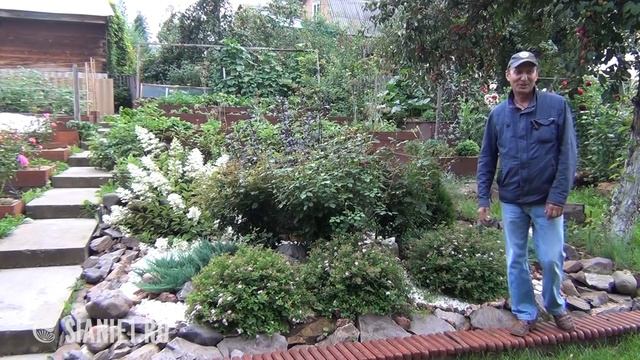 Для чего нужен садовый участок. Беседа с садоводом г. Красноярска Алымовым Александром Васильевичем смотреть онлайн