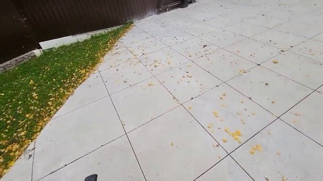 Фишки для коттеджа от RSG (часть №5). Аккумуляторный воздуходув. Пылесос для участка смотреть онлайн