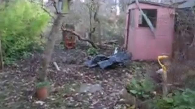 DG10 смотреть онлайн