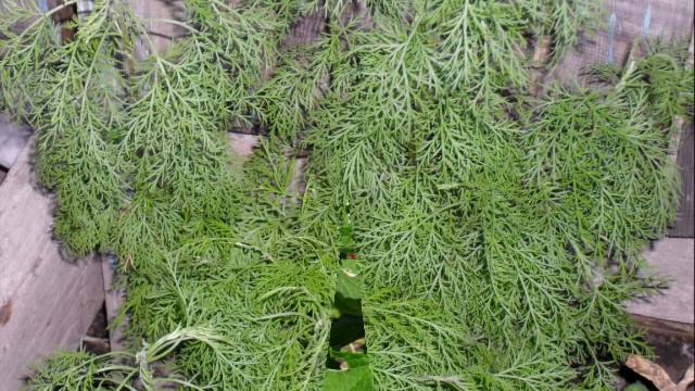 СлайдШОУ для Души смотреть онлайн