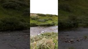 Кольский полуостров  / Рыбалка на реках и озерах Полуострова Рыбачий и Средний