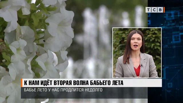 К нам идёт вторая волна бабьего лета смотреть онлайн