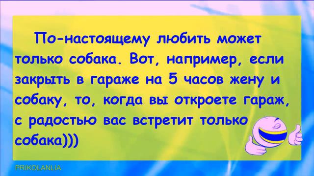 Как здорово когда наступают выходные 📌 Анекдот дня 🤣🤣😂 #prikolanlia #anecdote смотреть онлайн