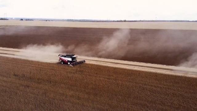 С чем легко справляется TORUM 785? смотреть онлайн