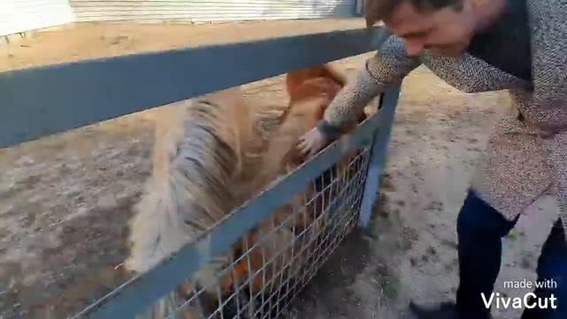 Ростов-на-Дону, март 2020 смотреть онлайн