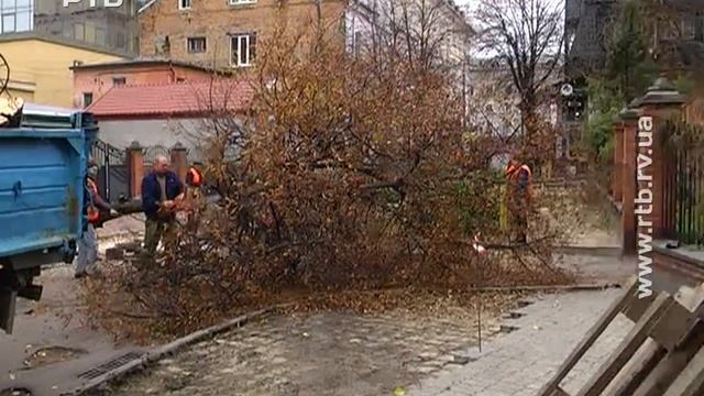Для чого у центрі Рівного зрізали здорові дерева смотреть онлайн