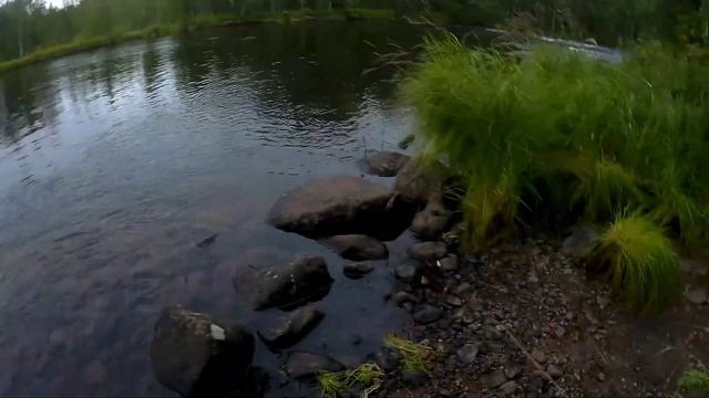 Ловля Горбуши на стрекозу??, и копчение 2021 смотреть онлайн