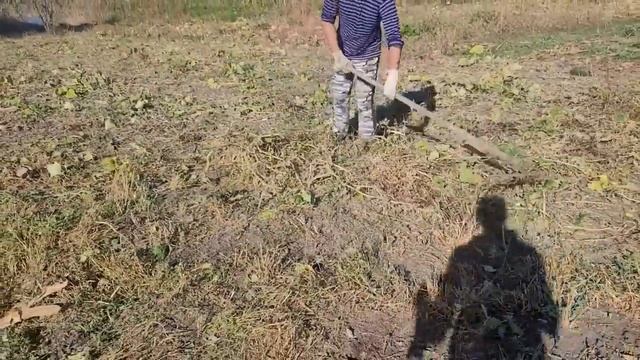 Переехали на ЮГ Пришлось всё бросать и бежать смотреть онлайн