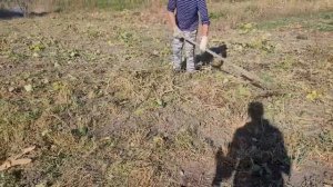 Переехали на ЮГ Пришлось всё бросать и бежать