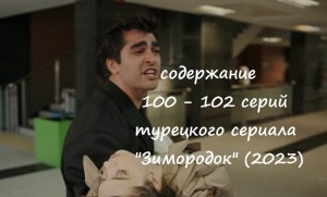 Содержание 100, 101 и 102 серий турецкого сериала "Зимородок" (2023)