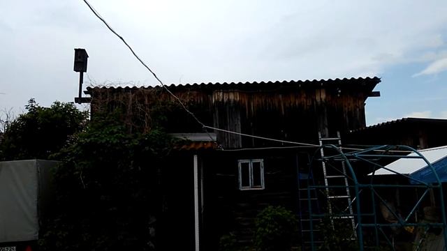Вальс бабочек! Атака ласточек! смотреть онлайн