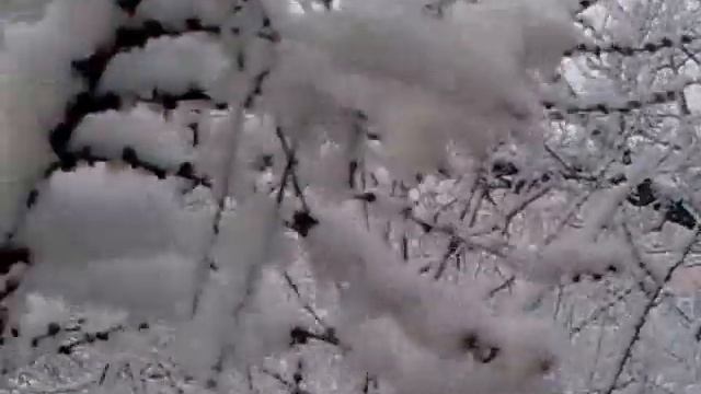 КРЫМ,Феодосия, Приморский 17 марта 2015 г. 12 час. 25 мин. смотреть онлайн